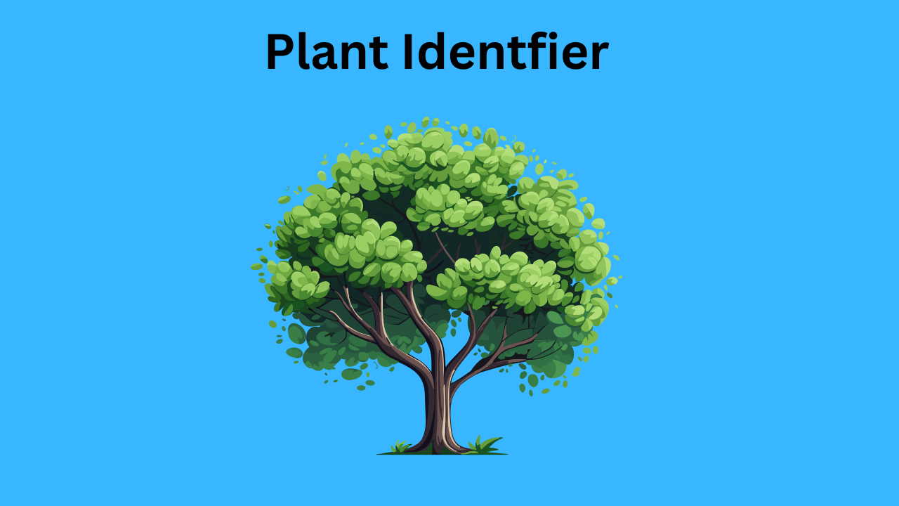 plant identifier instatly